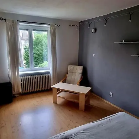 Apartman Palackeho Namesti דירה