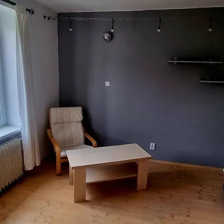 Apartman Palackeho Namesti * קרלובי וארי